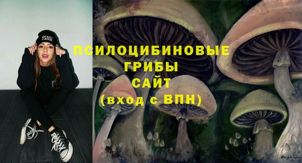 гашишное масло Долгопрудный