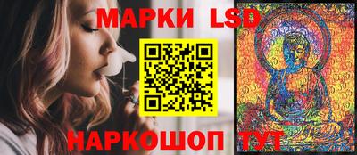 шишки Бийск