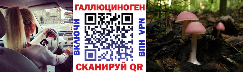как найти наркотики  Каменск-Уральский  Галлюциногенные грибы MAGIC MUSHROOMS 